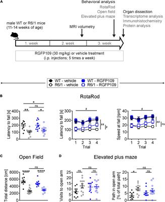 The Effects of Selective Inhibition of Histone Deacetylase 1 and 3 in Huntington’s Disease Mice